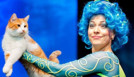 Театр кошек Куклачёва. Коты спасают мир