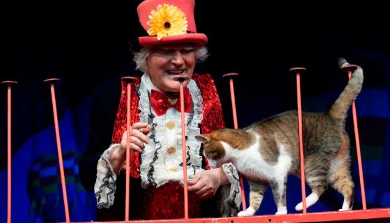 Театр кошек Куклачёва. Коты спасают мир