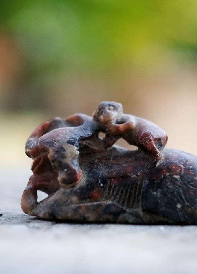 Анапа на великом шелковом пути