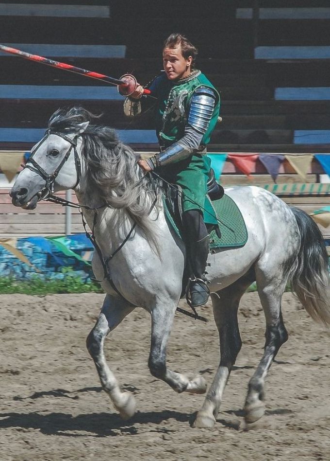 Шоу «Рыцарский турнир». Сукко